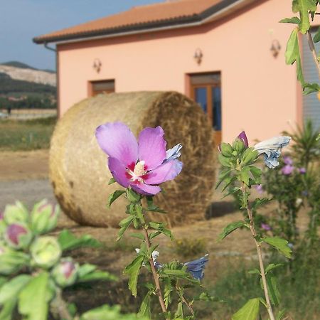 Agriturismo La Nocciolina Venturina Terme Exterior photo
