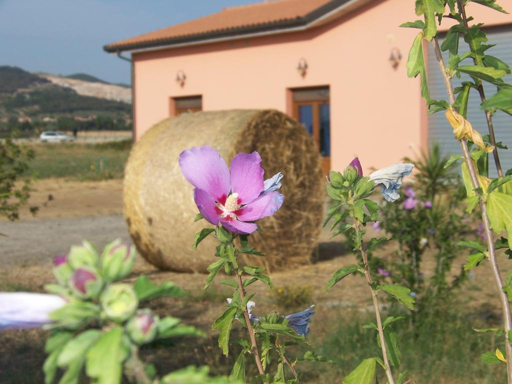 Agriturismo La Nocciolina Venturina Terme Exterior photo