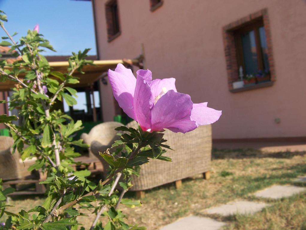 Agriturismo La Nocciolina Venturina Terme Exterior photo